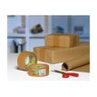 4005800056901-Tesapack - 6 Rubans adhésifs d'emballage - papier écologique kraft - 50 mm x 50 m-Avant-1