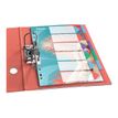 4049793076423-Esselte Colour'Breeze - Intercalaire 6 positions - A4 - polypropylène multicolore-Angle gauche-1