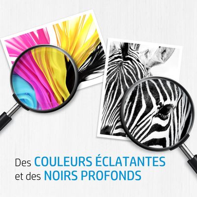 0008291618188-HP 338 - noir - cartouche d'encre originale (C8765EE)--2